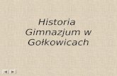 Historia  Gimnazjum w Gołkowicach