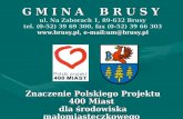 Znaczenie Polskiego Projektu 400 Miast  dla środowiska małomiasteczkowego  na przykładzie Brus