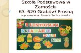 Szkoła Podstawowa w Zamościu 63- 620 Grabów/ Prosną wychowawca: Renata  Suchorzewska