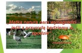 „Matka natura nam wynagrodzi  jeśli z przyrodą będziemy w zgodzie” J.Kasperkowiak