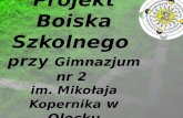 Projekt  Boiska  Szkolnego  przy  Gimnazjum nr 2  im. Mikołaja Kopernika  w Olecku