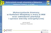 Wykorzystanie biomasy w Kotłowni Miejskiej o mocy 8 MW oraz zakładanie plantacji