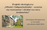Gimnazjum Dwujęzyczne w Tarnowie  rok szkolny 2009/2010