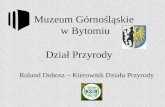 Muzeum Górnośląskie  w Bytomiu