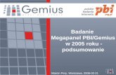 Badanie  Megapanel PBI/Gemius  w 2005 roku - podsumowanie