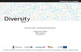 Diversity Index - wyniki badań ilościowych  Małgorzata Lelińska PKPP Lewiatan Grudzień 2011