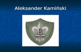 Aleksander Kami„ski