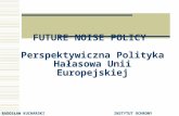 FUTURE NOISE POLICY  Perspektywiczna Polityka Hałasowa Unii Europejskiej