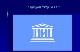 Czym jest UNESCO ?