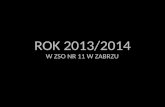 ROK 2013/2014