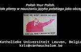 Polish Your Polish.  Białe plamy w nauczaniu języka polskiego jako obcego