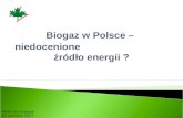Biogaz w Polsce –  niedocenione                                źródło energii ?