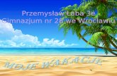 Przemysław Łaba 3e Gimnazjum nr 28 we Wrocławiu
