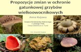 Propozycje zmian w ochronie gatunkowej grzybów wielkoowocnikowych