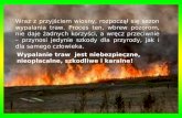 Wypalanie traw  jest niebezpieczne, nieopłacalne, szkodliwe i karalne! 
