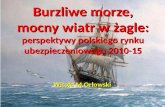 Burzliwe morze, mocny wiatr w żagle: perspektywy polskiego rynku ubezpieczeniowego 2010-15