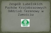 Zespół Lubelskich Parków Krajobrazowych Oddział Terenowy w Zamościu