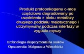 Embriologia eksperymentalna ssaków Opracowała: Małgorzata Wierzbicka