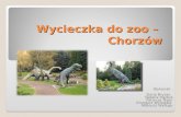 Wycieczka do zoo –  Chorzów