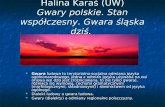 Halina Karaś (UW) Gwary polskie. Stan współczesny. Gwara śląska dziś.