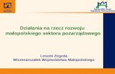 Działania na rzecz rozwoju  małopolskiego sektora pozarządowego