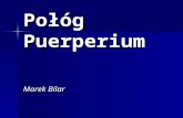 Połóg  Puerperium