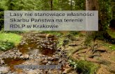 Lasy nie stanowiące własności  Skarbu Państwa na terenie     RDLP w Krakowie