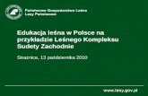 Edukacja leśna w Polsce na przykładzie Leśnego Kompleksu Sudety Zachodnie