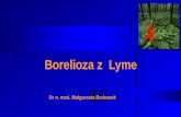 Borelioza z  Lyme
