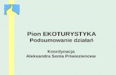 Pion EKOTURYSTYKA Podsumowanie działań Koordynacja  Aleksandra Sonia Priwieziencew