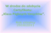 Rok szkolny 2010/2011