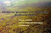 Historia geologiczna Puszczy Białowieskiej