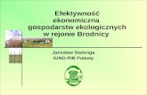 Efektywność ekonomiczna  gospodarstw ekologicznych w rejonie Brodnicy
