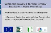 Wnioskodawcy z terenu Gminy Dalików – Małe Projekty: