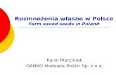 Rozmnożenia własne w Polsce Farm saved seeds in Poland