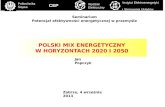 POLSKI MIX ENERGETYCZNY W HORYZONTACH 2020 I 2050