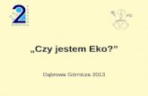 „Czy jestem Eko?” Dąbrowa Górnicza 2013