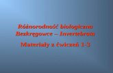 Różnorodność biologiczna Bezkręgowce –  Invertebrata Materiały z ćwiczeń 1-3