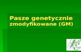 Pasze genetycznie  zmodyfikowane (GM)
