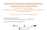 Dr Edyta Sidorczuk-Pietraszko Instytut Transferu Wiedzy i Innowacji sp. z o.o. w Białymstoku