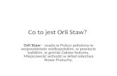 Co to jest Orli Staw?