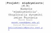 Marek Nowak marek.nowak@amu.pl Konrad  Miciukiewicz kmiciukiewicz@poczta.onet.pl