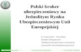 Polski broker ubezpieczeniowy na Jednolitym Rynku Ubezpieczeniowym Unii Europejskiej