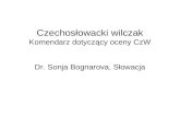 Czechos łowacki wilczak Komendarz dotyczący oceny CzW Dr. Sonja Bognarova, Słowacja