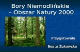 Bory Niemodlińskie  – Obszar Natury 2000