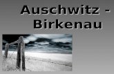 Auschwitz -  Birkenau
