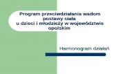 Program przeciwdziałania wadom postawy ciała  u dzieci i młodzieży w województwie opolskim