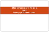 Zlodowacenia w Polsce  oraz  formy polodowcowe