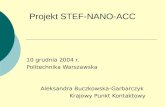 Projekt STEF-NANO-ACC