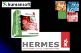Zintegrowany System Zarządzania Firmą Hermes SQL